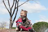 ENFANT ET CHIEN 034